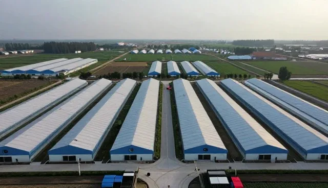 注重应用场景分析：如何在实际业务中实现价值最大化
